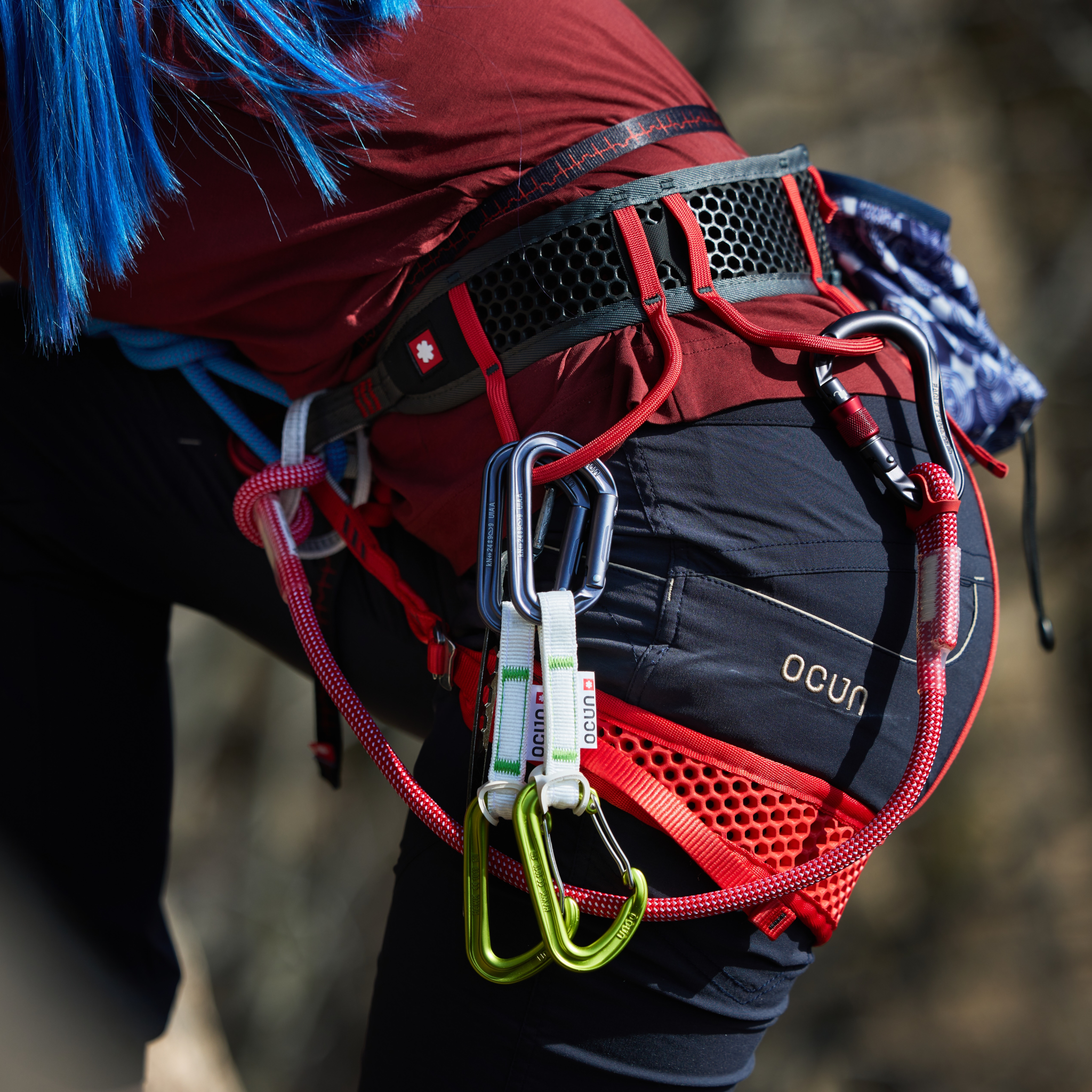 Harnesses
